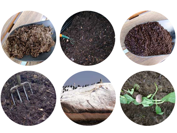 Abonos orgánicos: el reciclaje de la vida