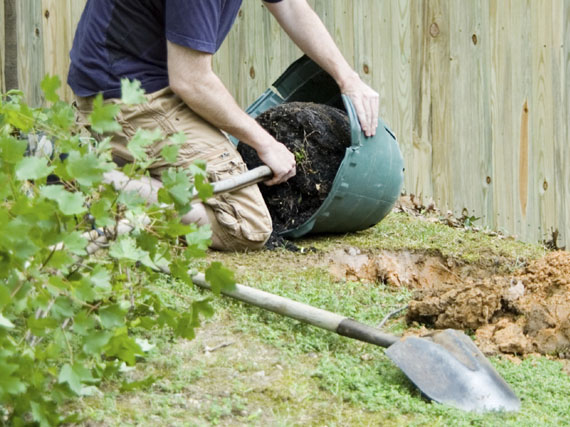 Plantación de árboles y arbustos