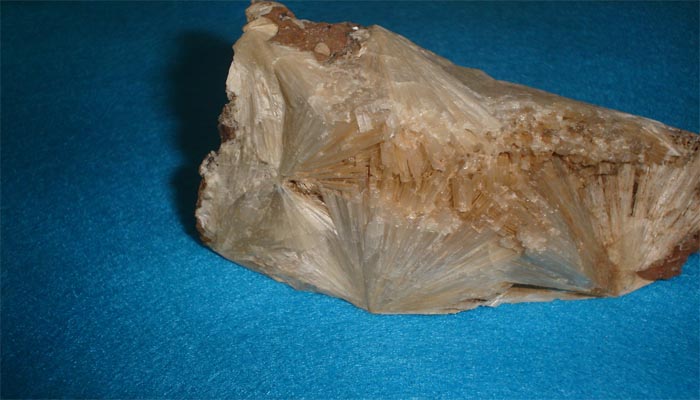 Zeolita Para Plantas. Aplicación, Propiedades Y Beneficios