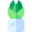 ¿Con qué frecuencia regar los cactus?