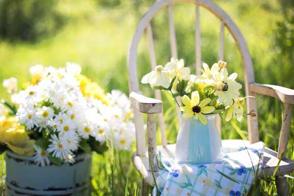 Cómo plantar flores en el jardín
