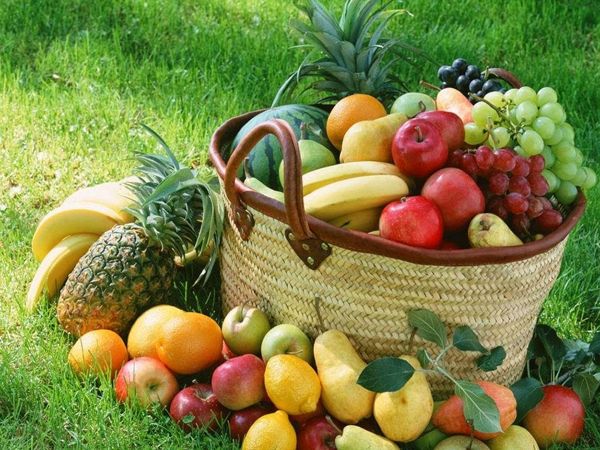 Plantas alimenticias