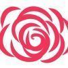 Fotos de Rosas