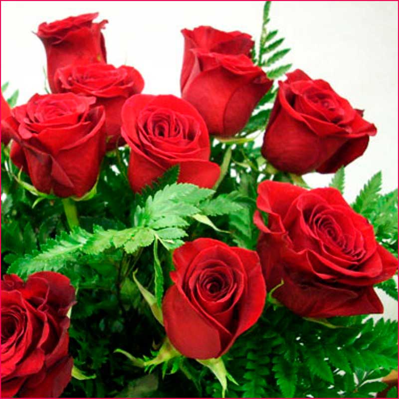 Ramos de Rosas
