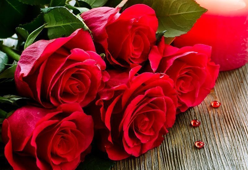 Significado de las Rosas Rojas