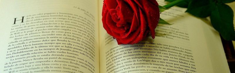 Términos Usuales en el Cultivo de las Rosas